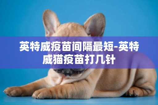 英特威疫苗間隔最短-英特威貓疫苗打幾針