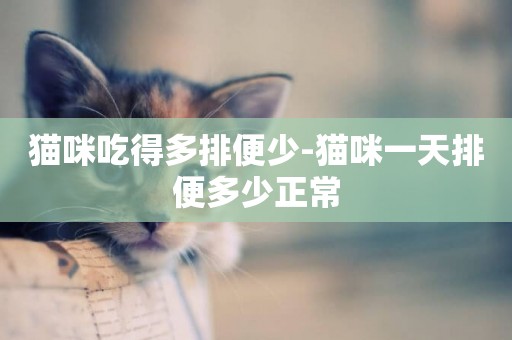 貓咪吃得多排便少-貓咪一天排便多少正常