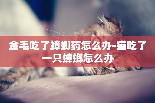 金毛吃了蟑螂藥怎么辦-貓吃了一只蟑螂怎么辦