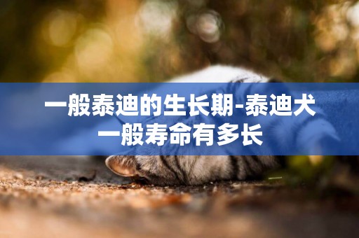 一般泰迪的生長期-泰迪犬一般壽命有多長