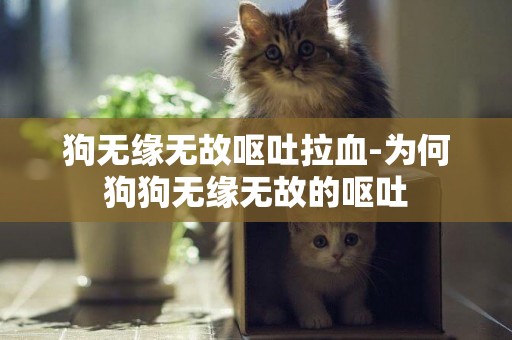 狗無緣無故嘔吐拉血-為何狗狗無緣無故的嘔吐
