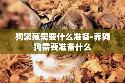 狗繁殖需要什么準備-養狗狗需要準備什么