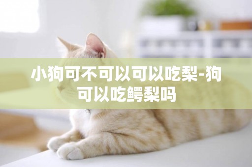 小狗可不可以可以吃梨-狗可以吃鱷梨嗎