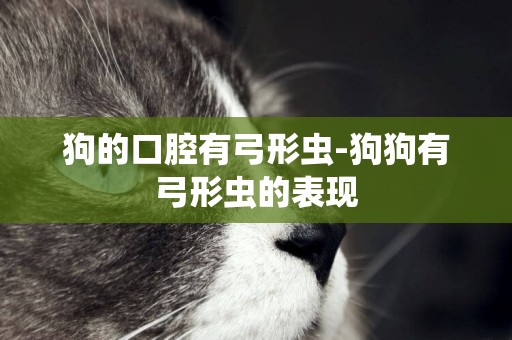 狗的口腔有弓形蟲-狗狗有弓形蟲的表現