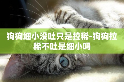 狗狗細小沒吐只是拉稀-狗狗拉稀不吐是細小嗎