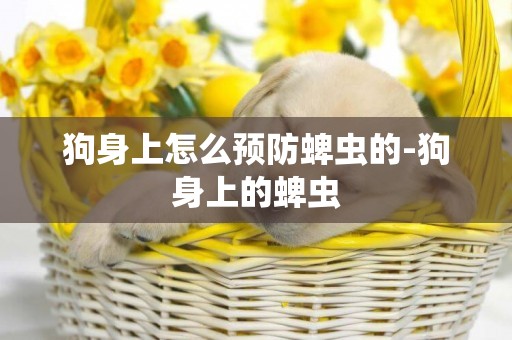 狗身上怎么預防蜱蟲的-狗身上的蜱蟲