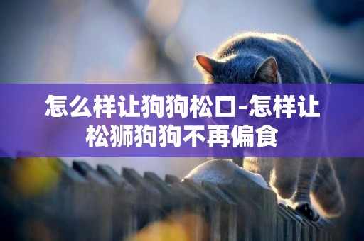怎么樣讓狗狗松口-怎樣讓松獅狗狗不再偏食