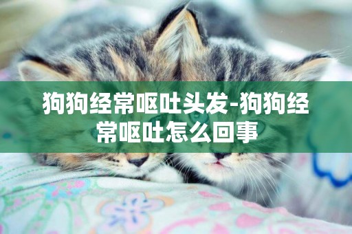 狗狗經常嘔吐頭發-狗狗經常嘔吐怎么回事