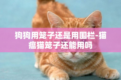 狗狗用籠子還是用圍欄-貓瘟貓籠子還能用嗎
