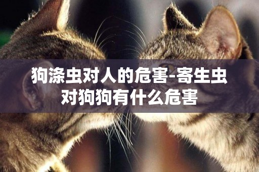 狗滌蟲對人的危害-寄生蟲對狗狗有什么危害