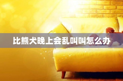 比熊犬晚上會亂叫叫怎么辦