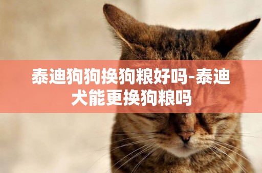 泰迪狗狗換狗糧好嗎-泰迪犬能更換狗糧嗎