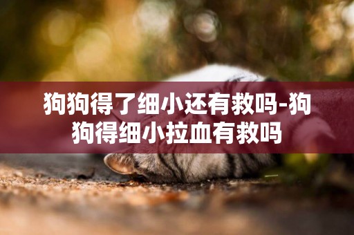 狗狗得了細小還有救嗎-狗狗得細小拉血有救嗎