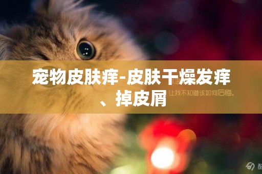 寵物皮膚癢-皮膚干燥發癢、掉皮屑