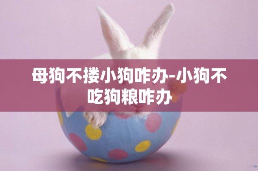 母狗不摟小狗咋辦-小狗不吃狗糧咋辦