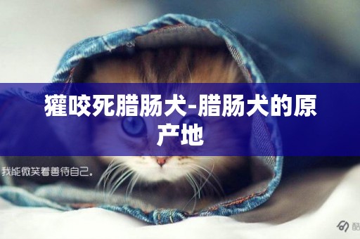 獾咬死臘腸犬-臘腸犬的原產地