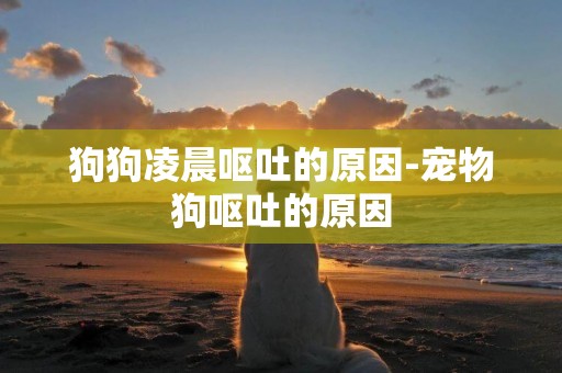 狗狗凌晨嘔吐的原因-寵物狗嘔吐的原因