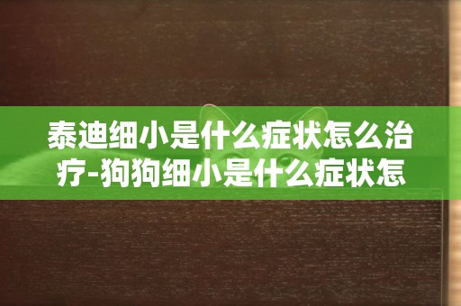 泰迪細小是什么癥狀怎么治療-狗狗細小是什么癥狀怎么治療