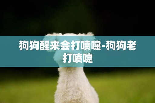 狗狗醒來會打噴嚏-狗狗老打噴嚏