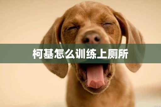 柯基怎么訓練上廁所