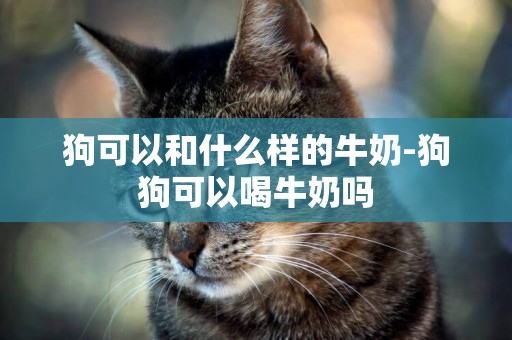 狗可以和什么樣的牛奶-狗狗可以喝牛奶嗎