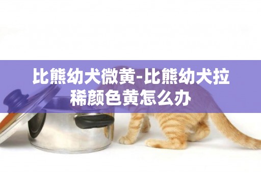 比熊幼犬微黃-比熊幼犬拉稀顏色黃怎么辦