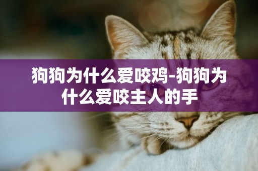 狗狗為什么愛咬雞-狗狗為什么愛咬主人的手