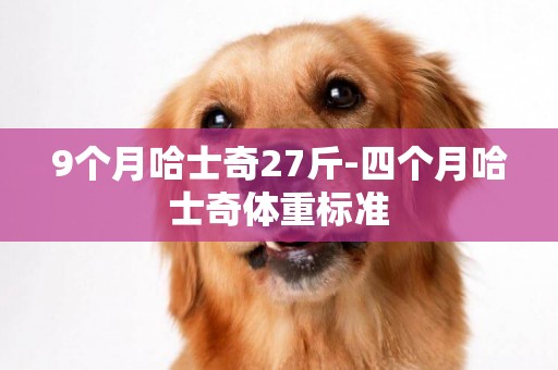 9個月哈士奇27斤-四個月哈士奇體重標準