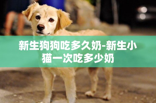 新生狗狗吃多久奶-新生小貓一次吃多少奶