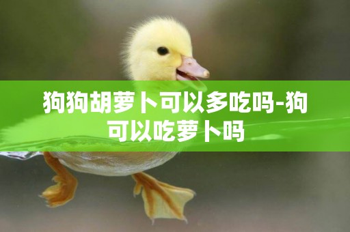 狗狗胡蘿卜可以多吃嗎-狗可以吃蘿卜嗎
