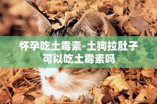 懷孕吃土霉素-土狗拉肚子可以吃土霉素嗎