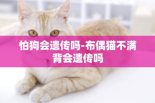 怕狗會遺傳嗎-布偶貓不滿背會遺傳嗎