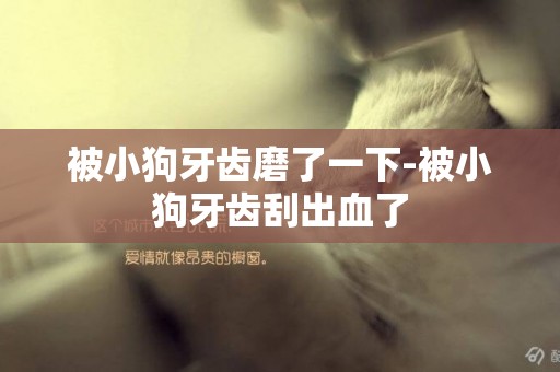 被小狗牙齒磨了一下-被小狗牙齒刮出血了