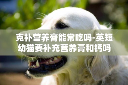 克補營養膏能常吃嗎-英短幼貓要補充營養膏和鈣嗎