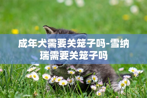 成年犬需要關籠子嗎-雪納瑞需要關籠子嗎