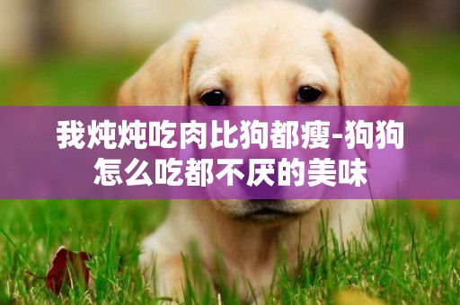 我燉燉吃肉比狗都瘦-狗狗怎么吃都不厭的美味