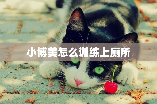 小博美怎么訓練上廁所
