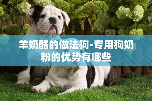 羊奶酪的做法狗-專用狗奶粉的優勢有哪些
