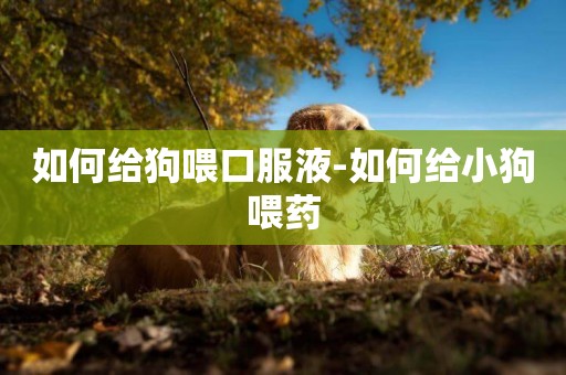 如何給狗喂口服液-如何給小狗喂藥