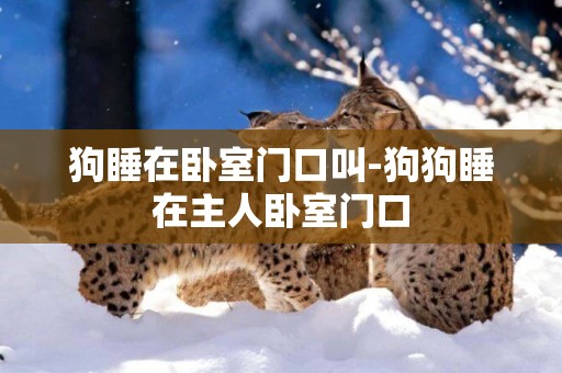 狗睡在臥室門口叫-狗狗睡在主人臥室門口