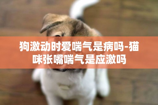 狗激動時愛喘氣是病嗎-貓咪張嘴喘氣是應激嗎