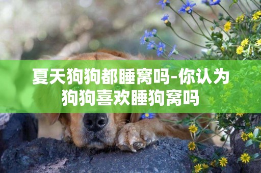 夏天狗狗都睡窩嗎-你認為狗狗喜歡睡狗窩嗎