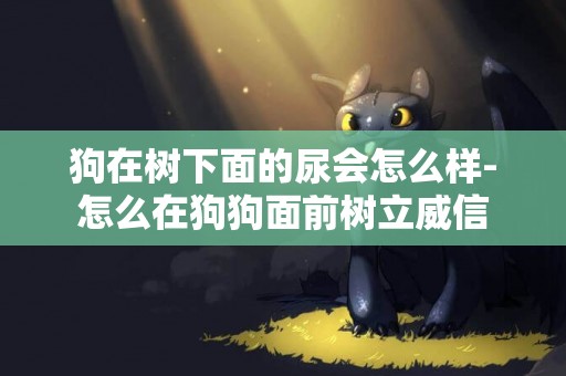狗在樹下面的尿會怎么樣-怎么在狗狗面前樹立威信