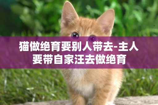 貓做絕育要別人帶去-主人要帶自家汪去做絕育
