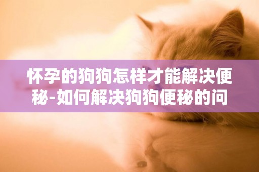 懷孕的狗狗怎樣才能解決便秘-如何解決狗狗便秘的問題