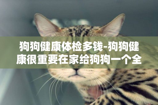 狗狗健康體檢多錢-狗狗健康很重要在家給狗狗一個全面體檢