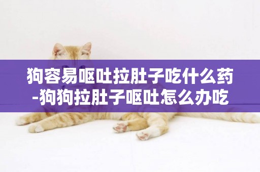 狗容易嘔吐拉肚子吃什么藥-狗狗拉肚子嘔吐怎么辦吃什么藥