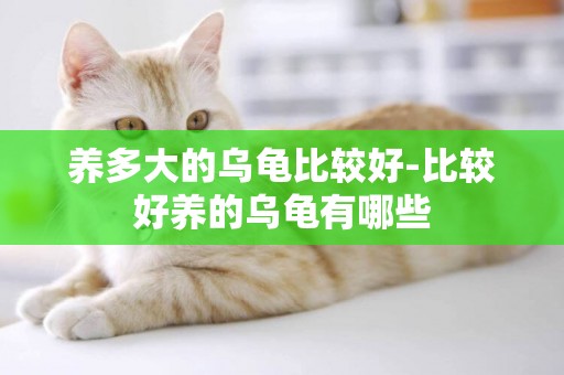養多大的烏龜比較好-比較好養的烏龜有哪些