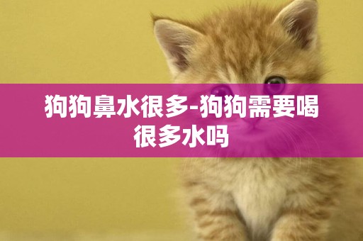 狗狗鼻水很多-狗狗需要喝很多水嗎