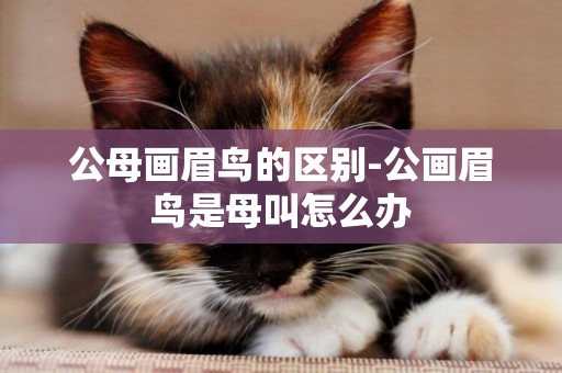 公母畫眉鳥的區別-公畫眉鳥是母叫怎么辦